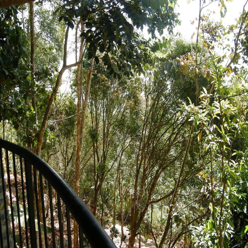 Hotel Poetree Thekkady Esterno foto